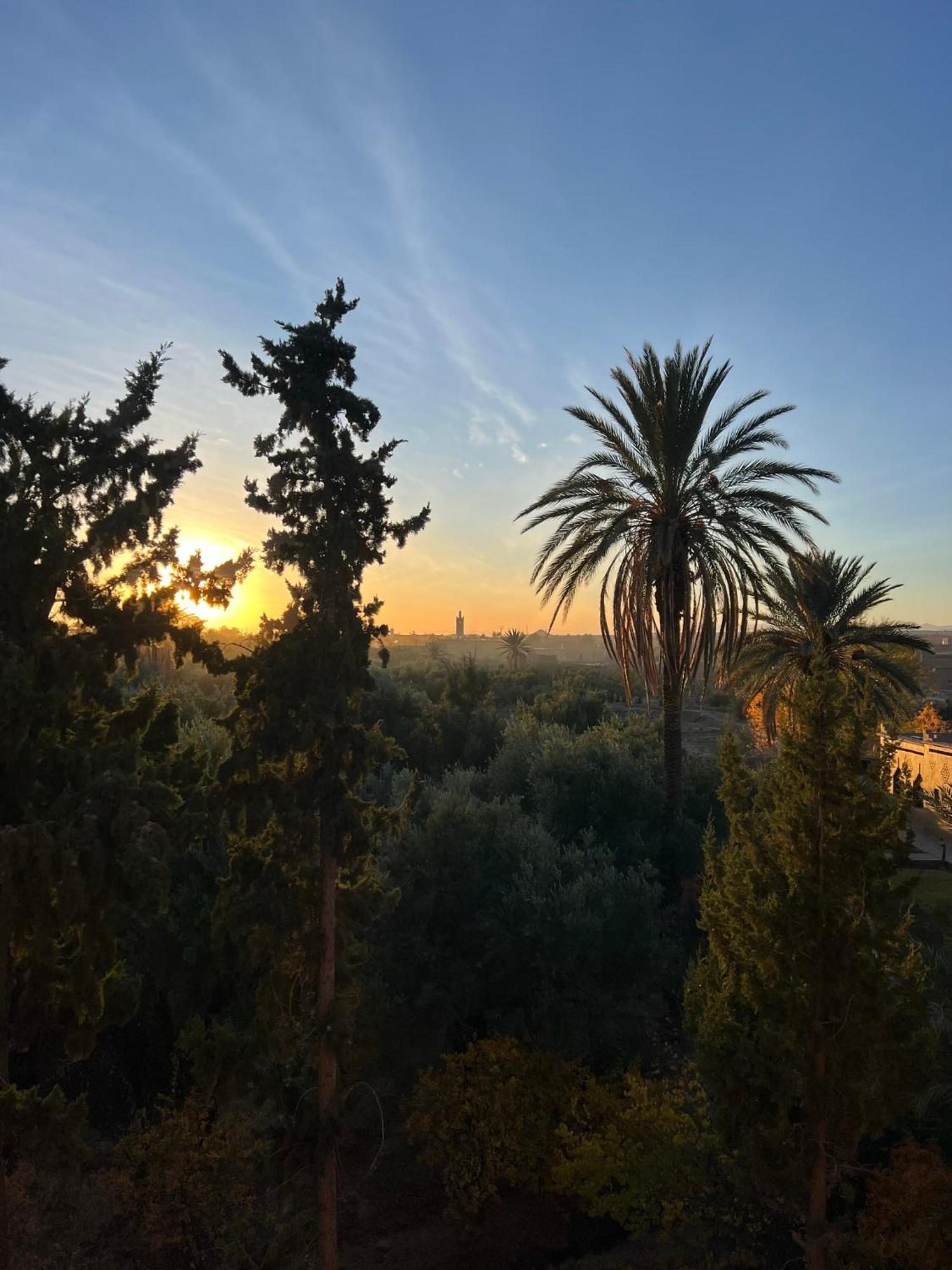 Hotel Kasbah Des Cypres Skoura Esterno foto