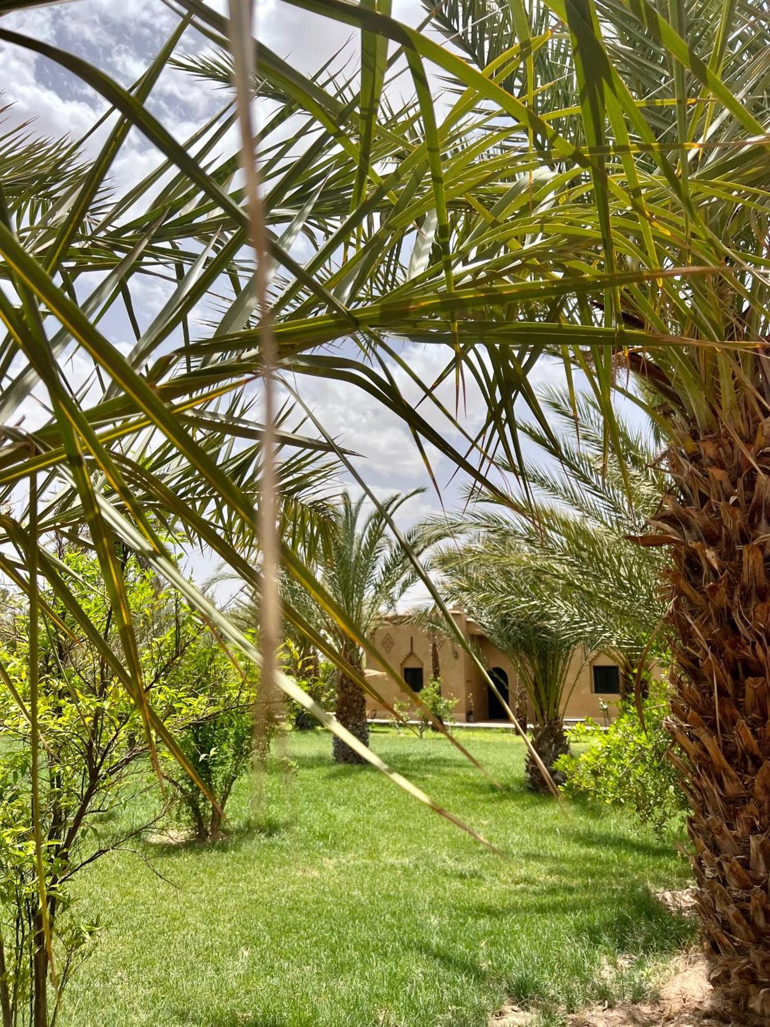 Hotel Kasbah Des Cypres Skoura Esterno foto