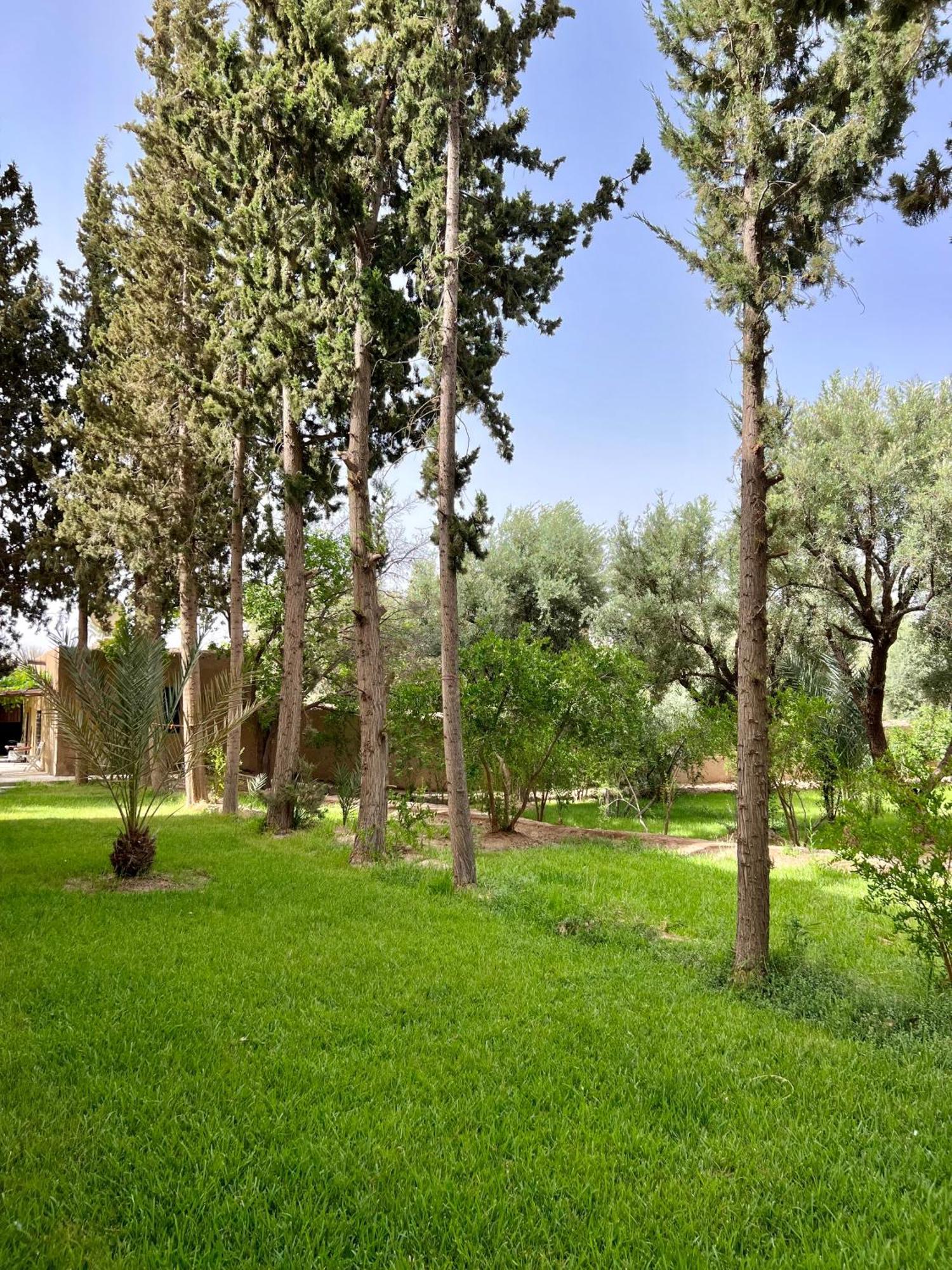 Hotel Kasbah Des Cypres Skoura Esterno foto