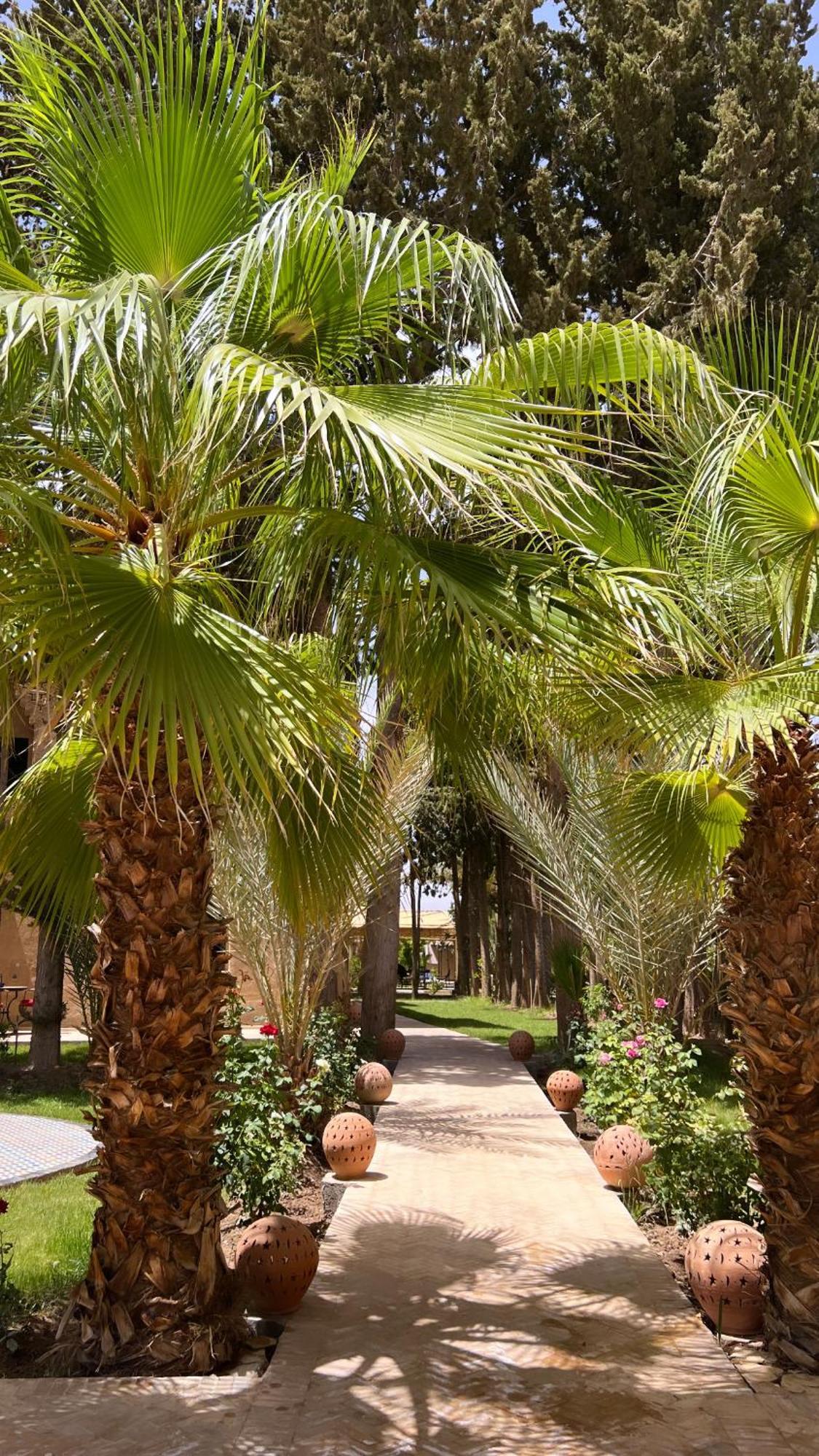 Hotel Kasbah Des Cypres Skoura Esterno foto