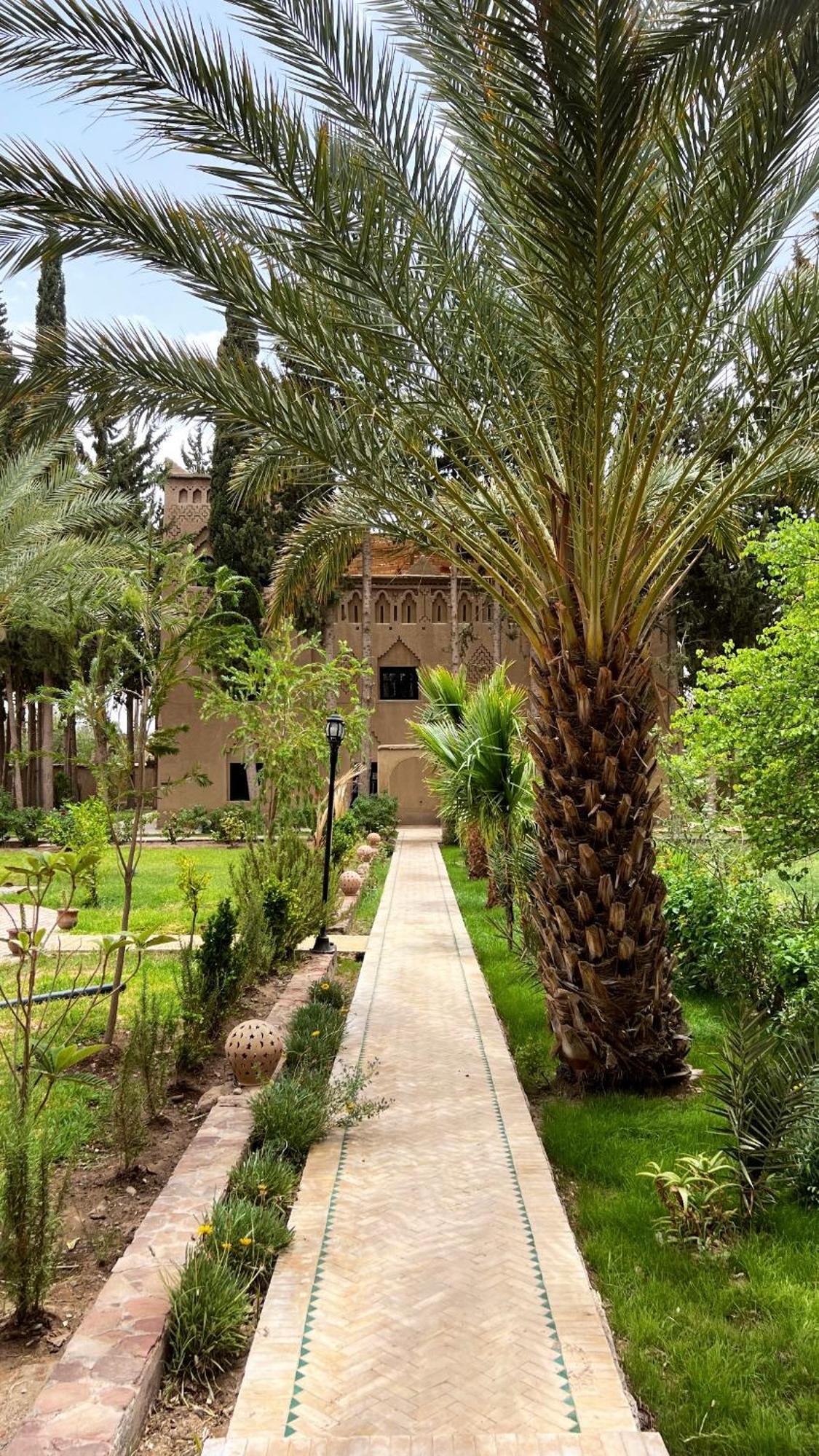 Hotel Kasbah Des Cypres Skoura Esterno foto